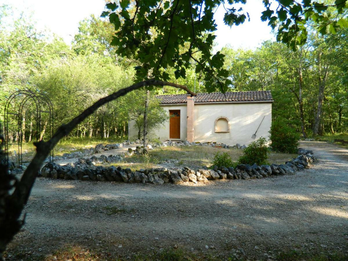 Les Gîtes des Dryades Vers  Extérieur photo